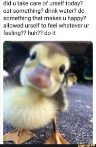 Stupid Bar Memes drinkswatersdossomethingsmakessu