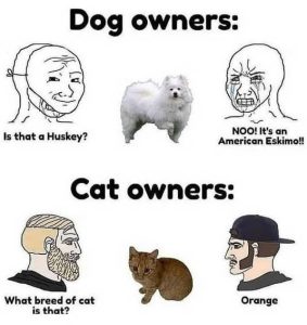 Stupid Bar Memes dysamericanseskimo