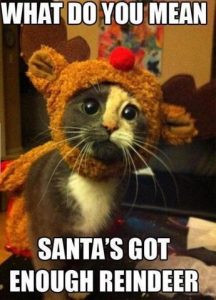 Stupid Bar Memes eansenoughsreindeer