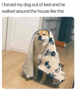 Stupid Bar Memes edswalkedsaround