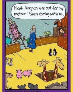 Stupid Bar Memes epseyesoutsmothersco