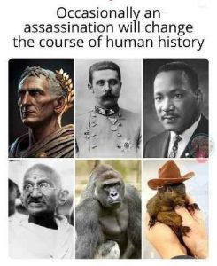 Stupid Bar Memes f5ba6c4458306244f