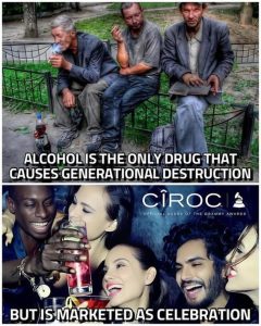 Stupid Bar Memes fa0aff3aaf25bc2