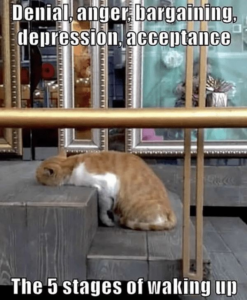 Stupid Bar Memes ffc7d020fa1c0e50