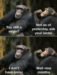 Stupid Bar Memes ginssisters9smo