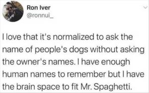 Stupid Bar Memes ingspetssnamesme