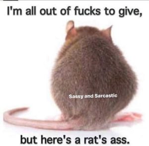 Stupid Bar Memes isstosgivessosh