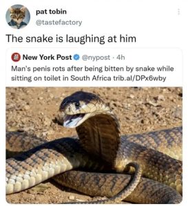 Stupid Bar Memes m4VV1RG