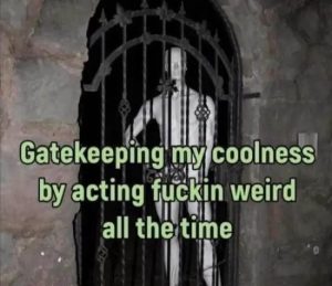 Stupid Bar Memes mMwySYT