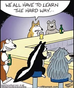 Stupid Bar Memes nksallslearnshardswa