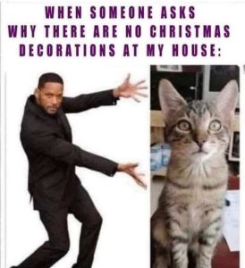 Stupid Bar Memes orationsswhysnoscat