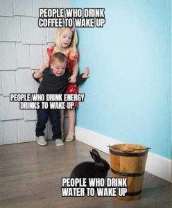 Stupid Bar Memes redsrabbitspeople