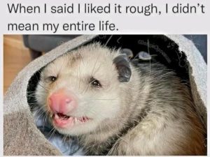 Stupid Bar Memes saiidnsmeansmysen