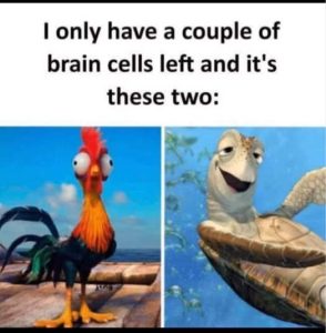 Stupid Bar Memes ssleftsthesestw