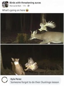 Stupid Bar Memes svkLbxS