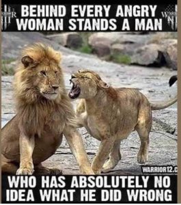 Stupid Bar Memes verysangryswomansm