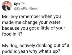 Stupid Bar Memes xsdersfoodsdrinking