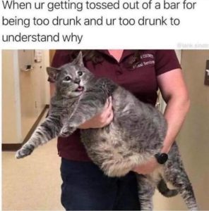 Stupid Bar Memes 060124ssers21s618x626