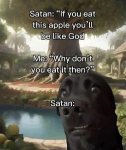 Stupid Bar Memes 090124ssers49s618x732