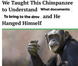 Stupid Bar Memes 090124ssers74s618x525