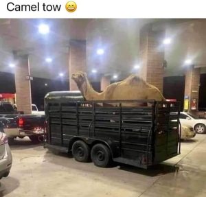 Stupid Bar Memes 0ed57bcede894c79a049
