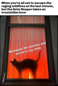 Stupid Bar Memes 170124ssers30s618x909
