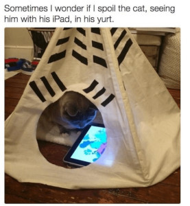 Stupid Bar Memes 170124ssers3s618x669