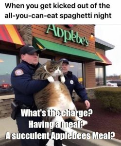 Stupid Bar Memes 170124ssers41s618x744