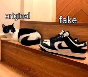 Stupid Bar Memes 170124ssers76s618x541