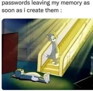 Stupid Bar Memes 1733482278sfns14