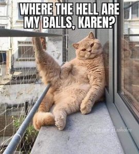 Stupid Bar Memes 1a3abdf730a02352