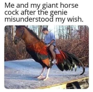Stupid Bar Memes 1fb1cf6611679796b8
