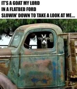 Stupid Bar Memes 20811f20ac746a4e11