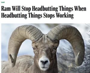 Stupid Bar Memes 290124ssers77s618x500