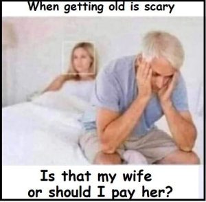 Stupid Bar Memes 2b183a312d89