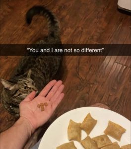 Stupid Bar Memes 2d9f7760d2dd