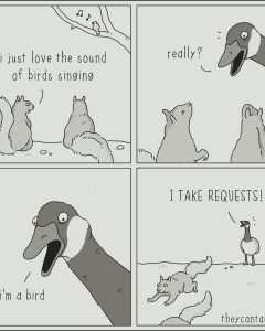 Stupid Bar Memes 38206301570535sn