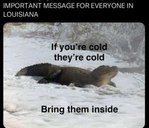 Stupid Bar Memes 38f6a341f1987
