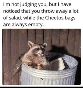 Stupid Bar Memes 471s32168