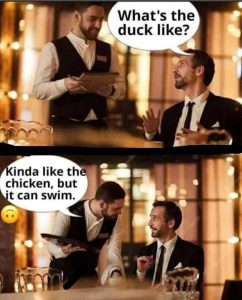 Stupid Bar Memes 4730s98920