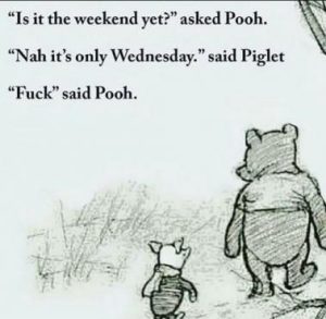 Stupid Bar Memes 4b116cbd6fa124f5