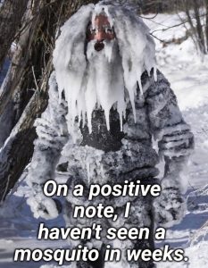 Stupid Bar Memes 501888