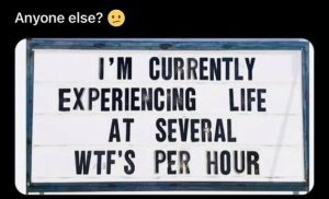 Stupid Bar Memes 51bf77e03e34f
