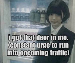 Stupid Bar Memes 5744930796ae665c