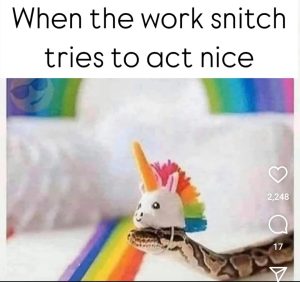 Stupid Bar Memes 677da6b34083d