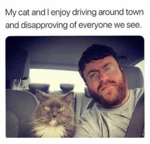 Stupid Bar Memes 677dd1835a20e
