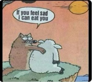 Stupid Bar Memes 678144afeca71