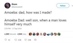 Stupid Bar Memes 6787abb5b0d95