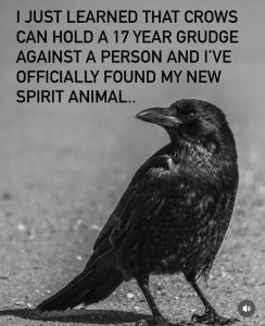Stupid Bar Memes 67887c4d47b9a
