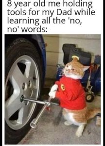 Stupid Bar Memes 6793664510e97